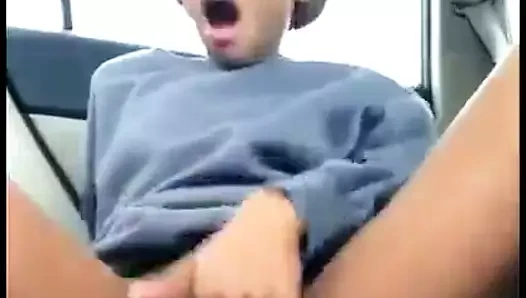 minyon inek araba oyunu