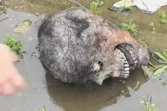 Шаловливые маленькие нимфоманки - том. # 08 - (Полный фильм - оригинальная версия)