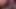 Reverse Cowgirl - Big Ass Catgirl Takes It Deep In 3D AI GENERATED
