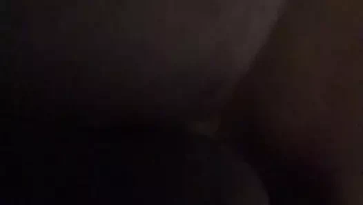 Kar tavşanı geri gelmeye devam ediyor