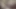 Seksi esmer amını yalatırken sakso çekiyor ve sonra sikişiyor