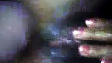 arka kapı tavşanı