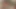 Sasha yung parmak kâkül ona Asya çalı