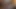 Yeni bur chudai video köyü tipi üvey erkek kardeş ve üvey kız kardeş yeni kızlar chudai video Hintli