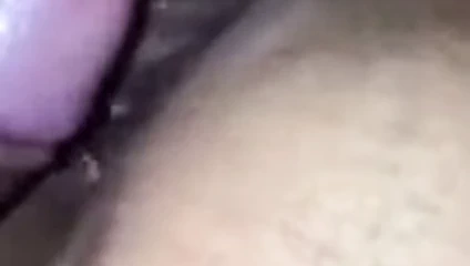 berbat horoz ve KEDİ