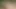 Yerli adamlar vahşi doğada sert sikişiyor