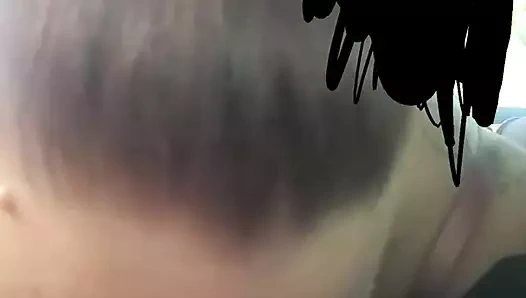 yol kafa kırlangıç