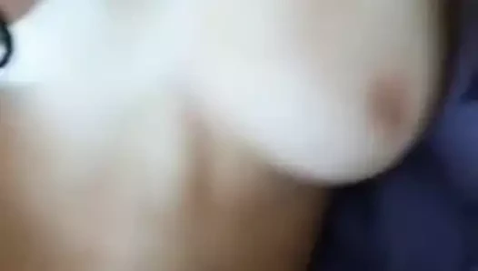 Beyaz goa kedi aşk 8531019572