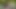 Bu atletik kız bilinmeyen bir koç tarafından sikiliyor