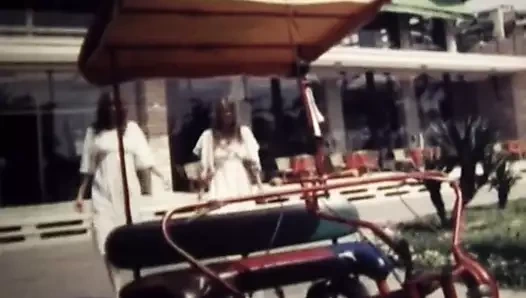 Geil unter Palmen (Viola Film)