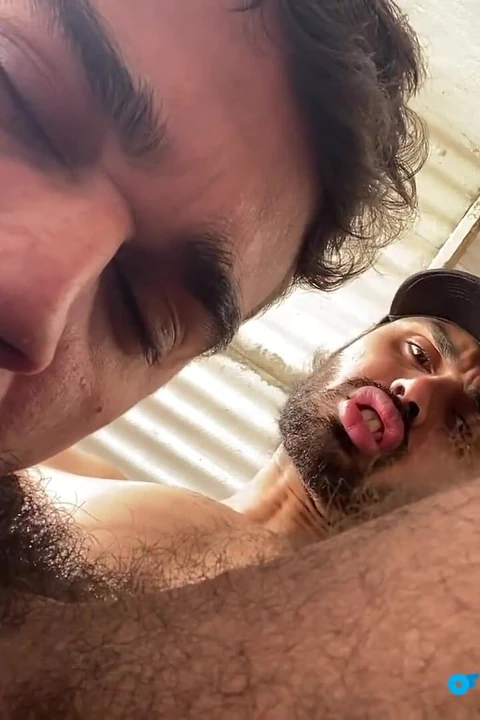 Büyük yaraklı oral seks derlemesi