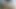 Liklik sıska kan gösterir ve onunla oynar png 2020