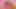 Ateşli lezbiyenler dildo emiyor ve yatakta sikişiyor