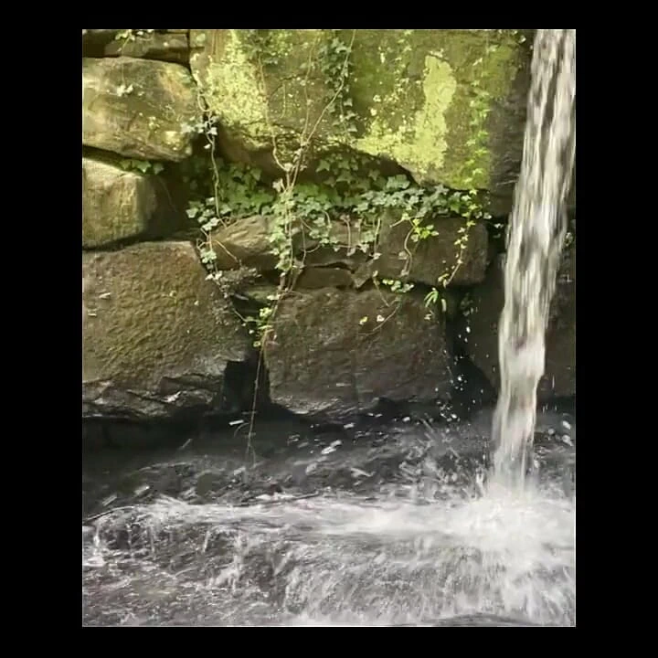 0 ayak erkek delisi suzy wylde dev kadın amına şaplak atması için yalvarıyor