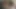 Muhteşem anka kuşu marie alır bazı harika seks eylem