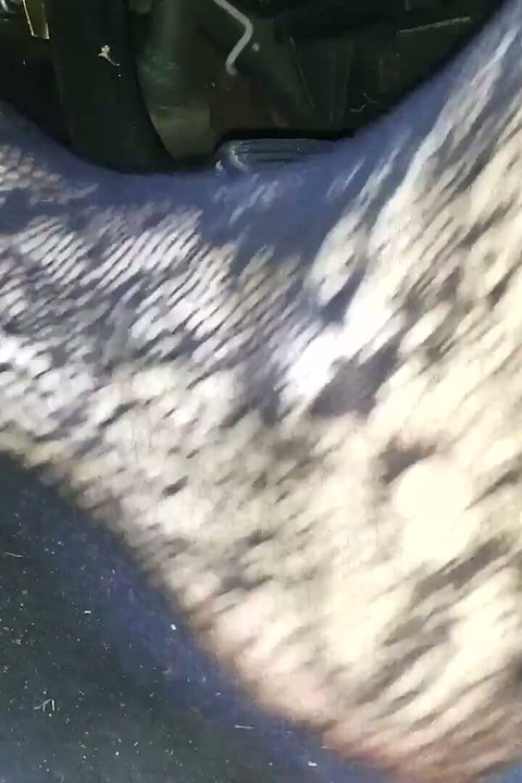 Siyah çiçek fileli seksi pedal pompalıyor