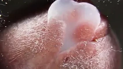 Makro yakın yukarı cumming üzerinde cam