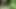 HerzogVideos Im Wald und auf der Heidi