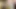 Genç azgın sevgilim 4k hd çok erotik yarak yiyor - yarak ısırığı ile sert yarak emiyor