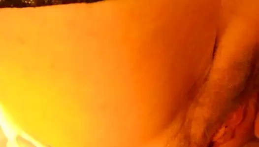 lanet ve okşayarak üzerinde kıllı KEDİ