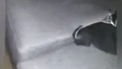 Izlemek bbc sikme benim hile tombul sürtük