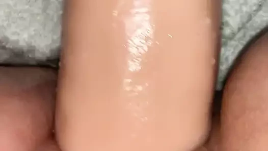 Yok edici kedi için mükemmel bir seçimdir