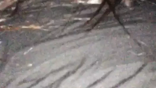 İşe giderken aletimi emdi