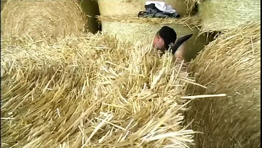 Las Viejas Gozonas (filmler)