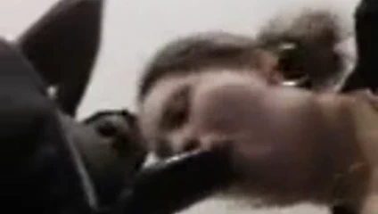 Latina gidiyor jambon üzerinde the çük