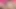 web kamerası preggo kız