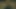 Web kamerasındaki kıllı şey...