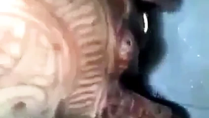 Müslüman kız parmak