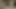 Bu erotik lezbiyenleri tanımak