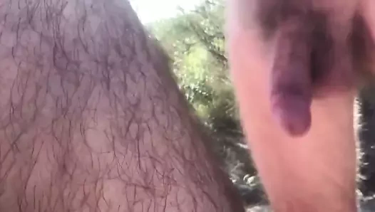 Yaşlı adam plajı3