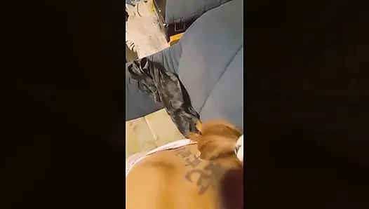 Дважды жульничество