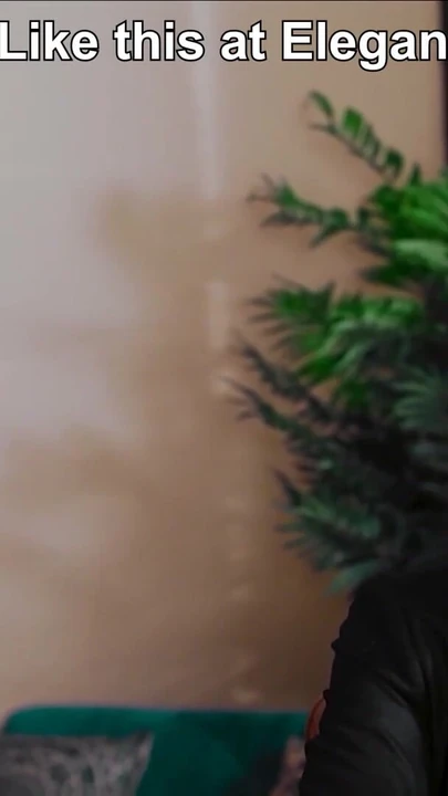 Обязательный для просмотра момент от "Не забывай, что ты работаешь на мистера Блэка! Christina Shine и Joss Lescaf для ElegantRAW"