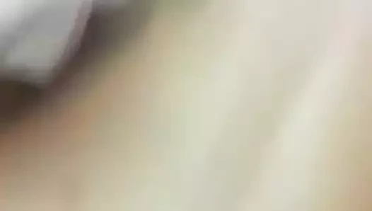 Yakalı köpek stili