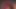 Piggie beyin yıkama kremi 2 dölü ye fotoğraflar benim