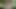 Sarışın küçük bir kaltak sürtük bugün çok ateşli