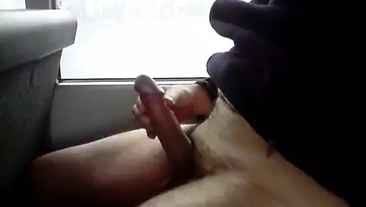 walenie konia w autobusie 1