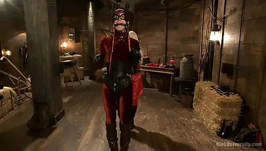 Yeni evcil hayvan veya yeni eğitmen için evcil hayvan oyunu