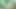 Stacxxxs sunar: Greenlight Special - Amber Lee