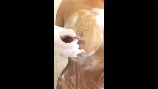 Yavru kedi koleksiyonu pt 2