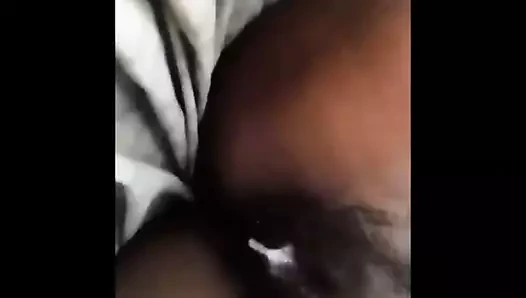 Photobucket kısa kedi oyun klipleri bulur