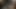 Anal ile Alman civciv 2