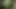 Fuck and Suck BIG Tits Stranger in Woods