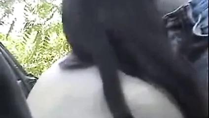 Kadın kılıklı genç kız anal seks yapıyor