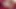Tiara Ayase'in patlayıcı Asyalı seks seansı - seksi külotlu çorap, oral seks ve dölleme eylemi