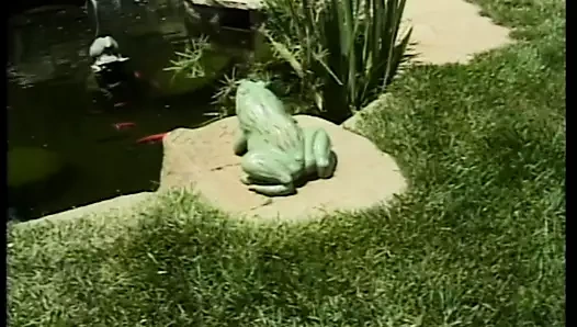 Vahşi ve özgür bu güzellikler birbirlerinin amlarını sert zeminde yemeyi severler