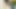 Orta yaşlı seksi kadın büyük bir dildo emiyor ve sonra üstüne oturuyor ve amının derinliklerine sokuyor